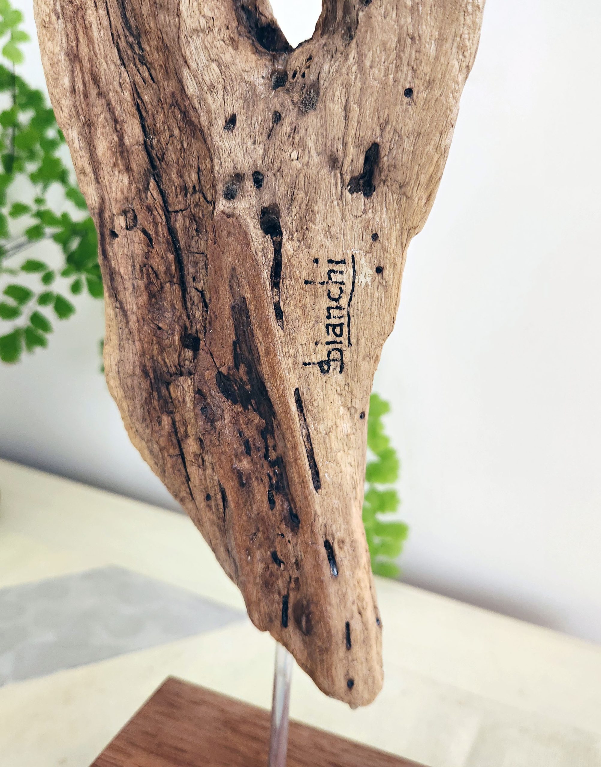 Now I Lay Me Down To Sleep By Susanne Bianchi Signature