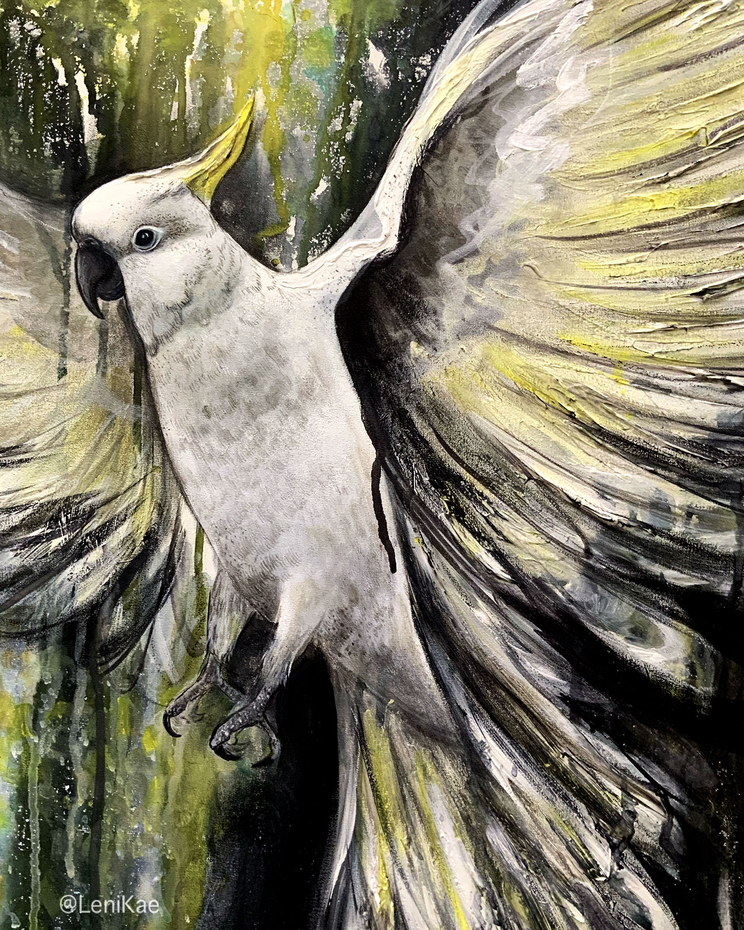 Sydney Artist Leni Kae Sulphur Crested Cockatoo Spirit Beautiful Bird Closeup