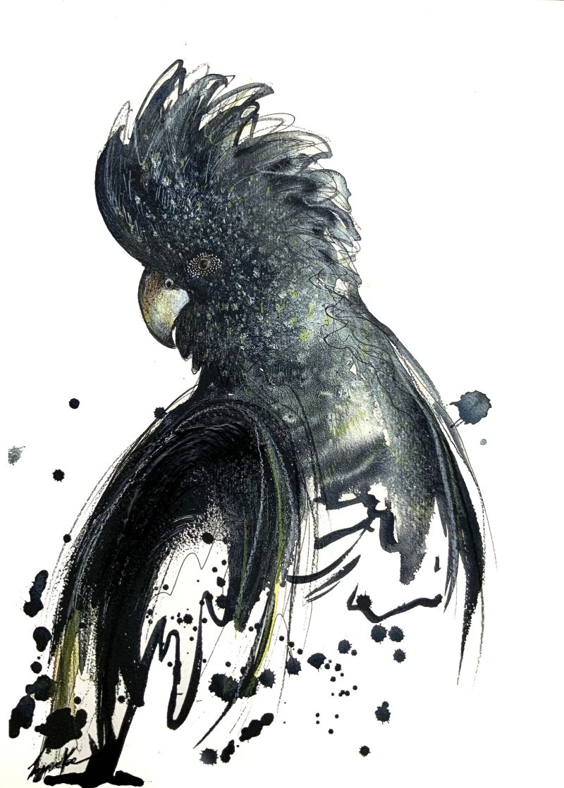 Black Cockatoo Spirit (Artist Edition Print)