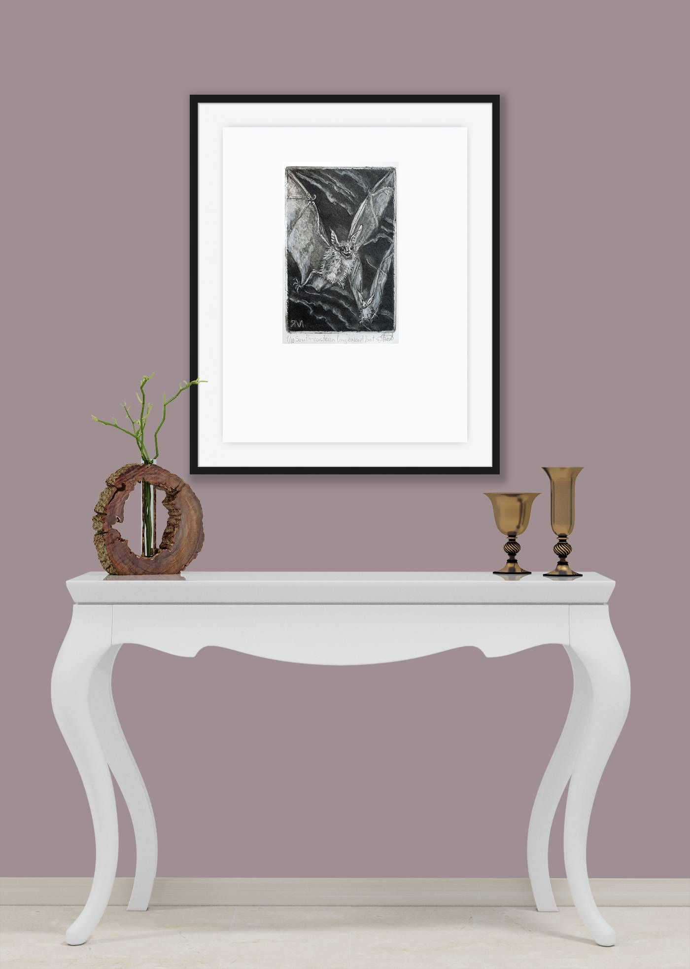 South Eastern Long Eared Bat Copy