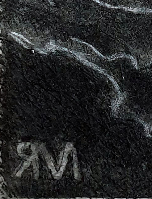 South Eastern Long Eared Bat Det3