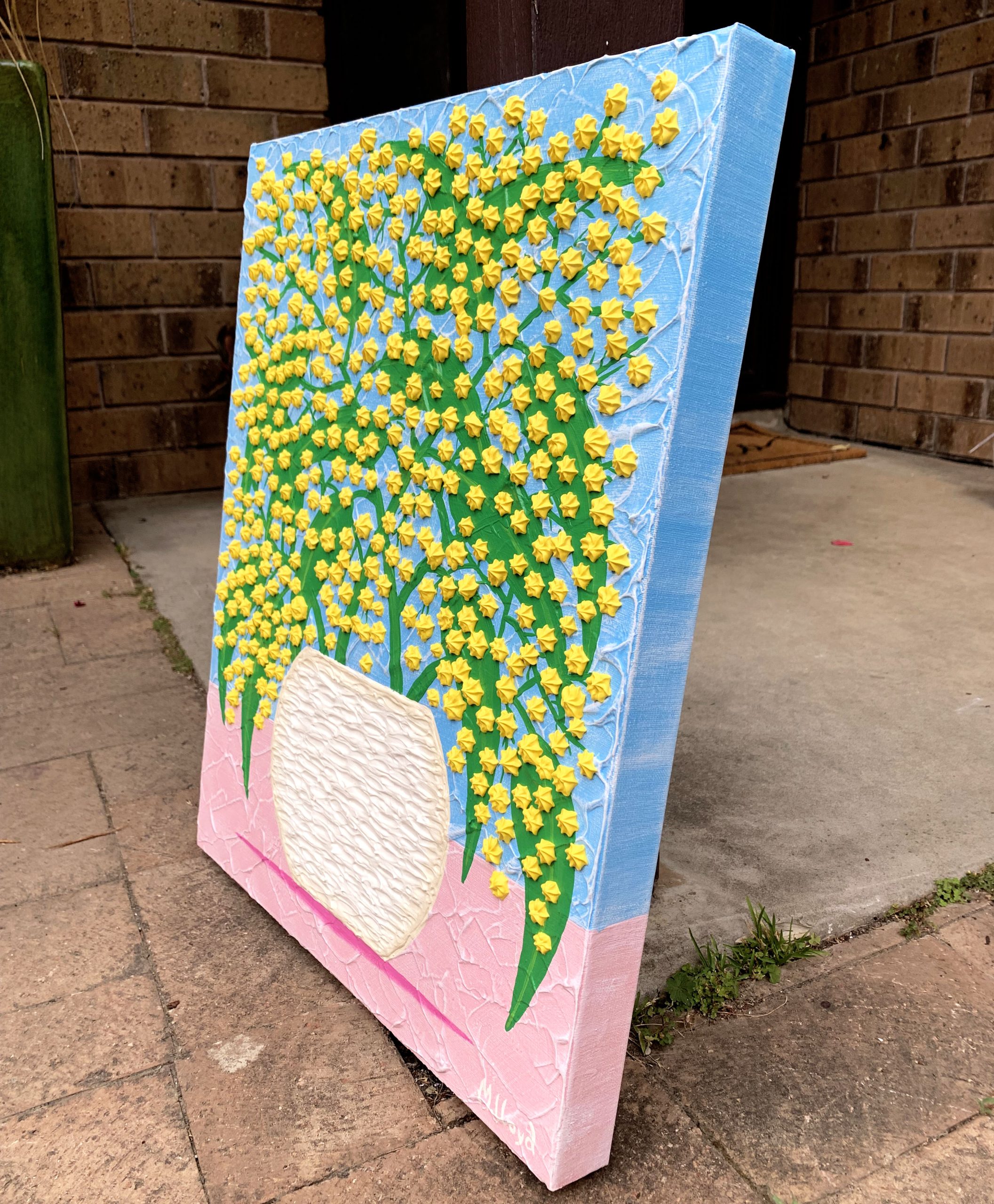 Sides Wattle Flowers In A Vase Pink Table Miranda Lloyd Artist Australia