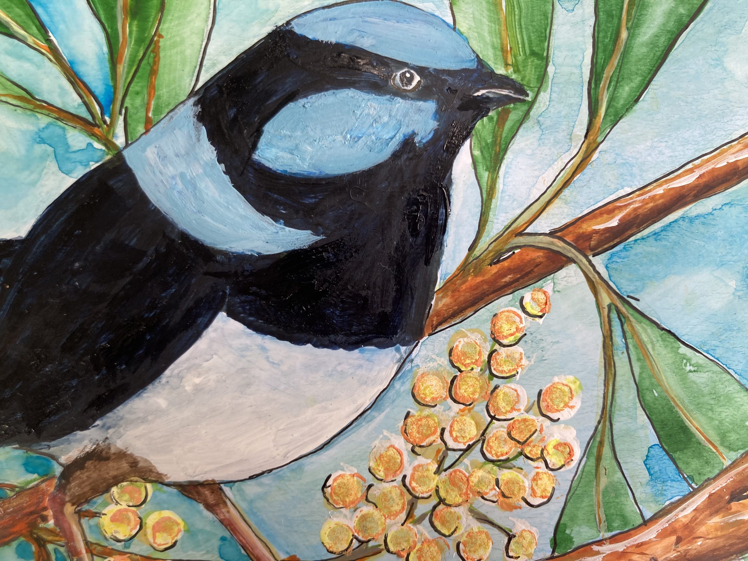 Mbj 411 Fairy Wren Couple Detail