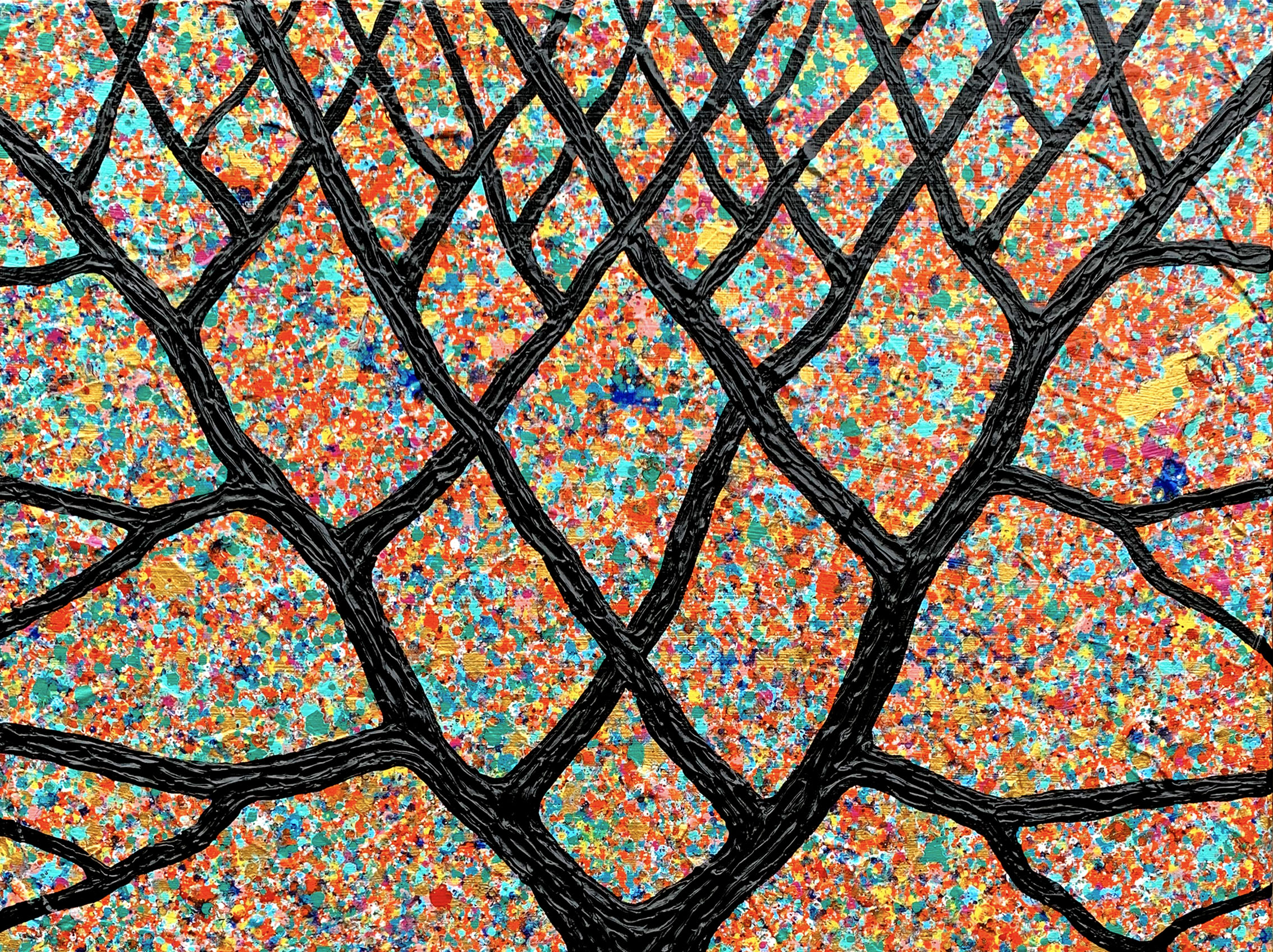 Close Up Sunset Tree Miranda Lloyd Artist Bluethumb