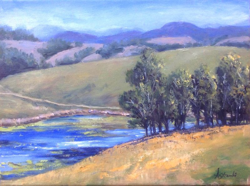 Australian Landscape