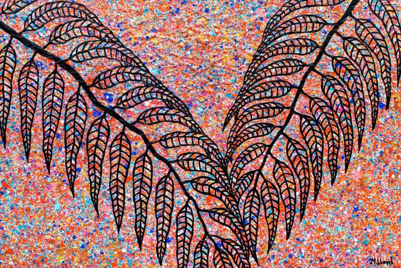 Trees Outback Sunset Gum Leaves