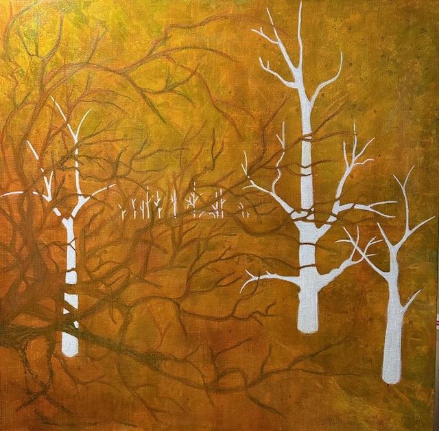 Ghost Trees Lake Hume