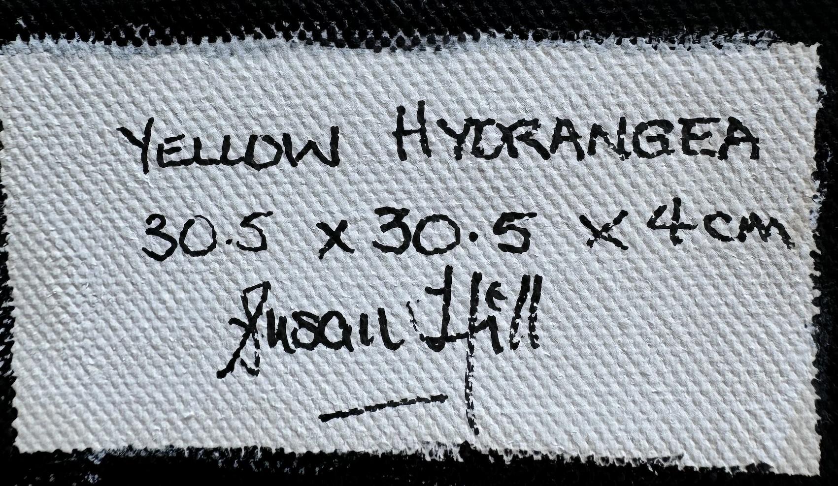 Yellow Hyd.3 Sig:size Copy