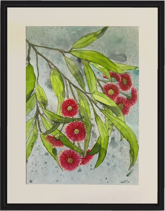 Mbj 409 Red Gum Flowers Black Frame
