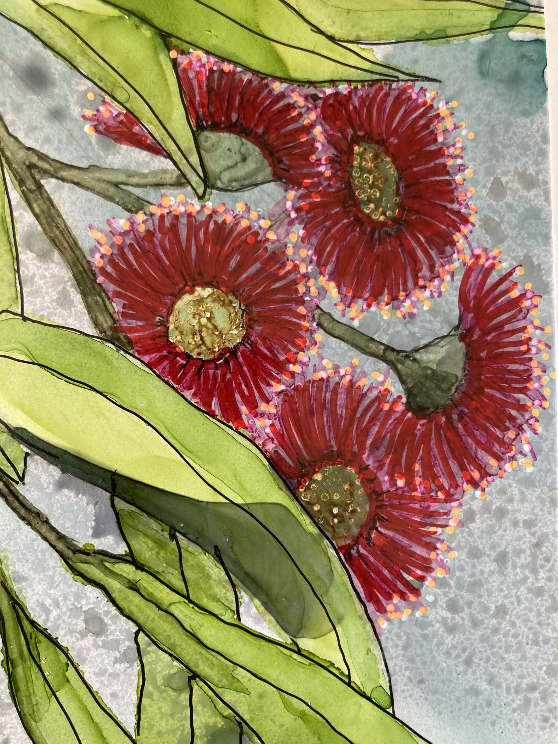 Mbj 409 Red Gum Flowers Detail 1