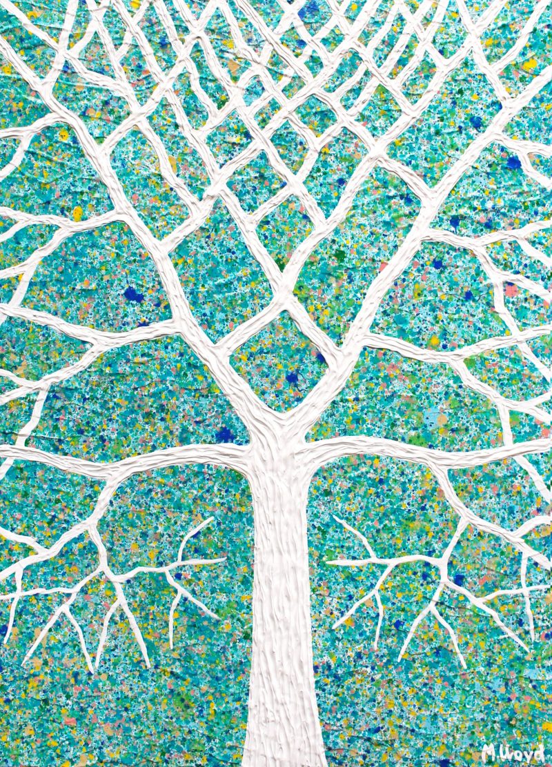 Tree Coastal Spring Wattle