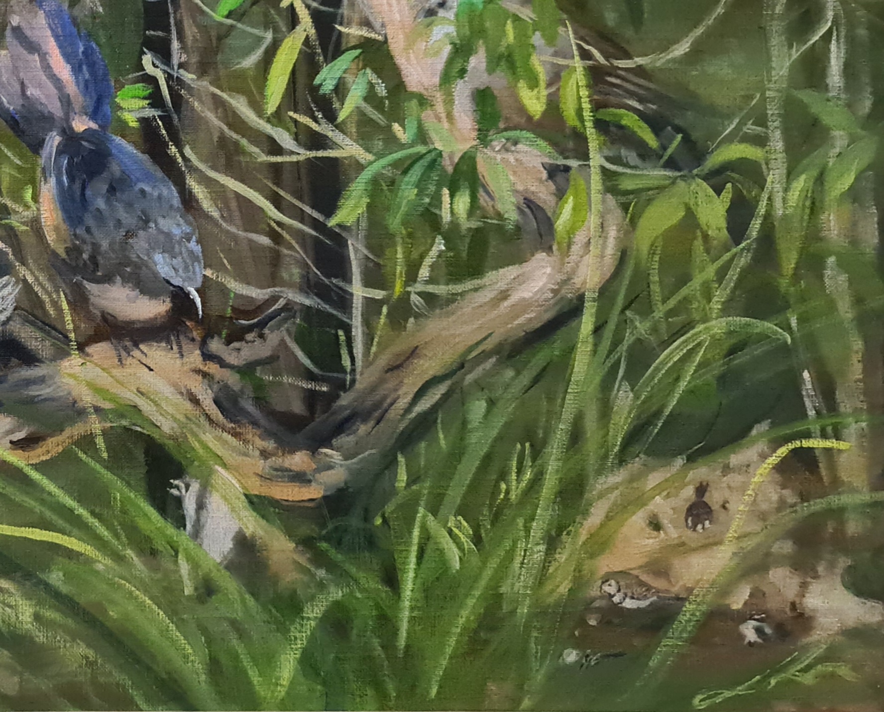 Happy Jacks And Finches Jo S. Stacey Signature