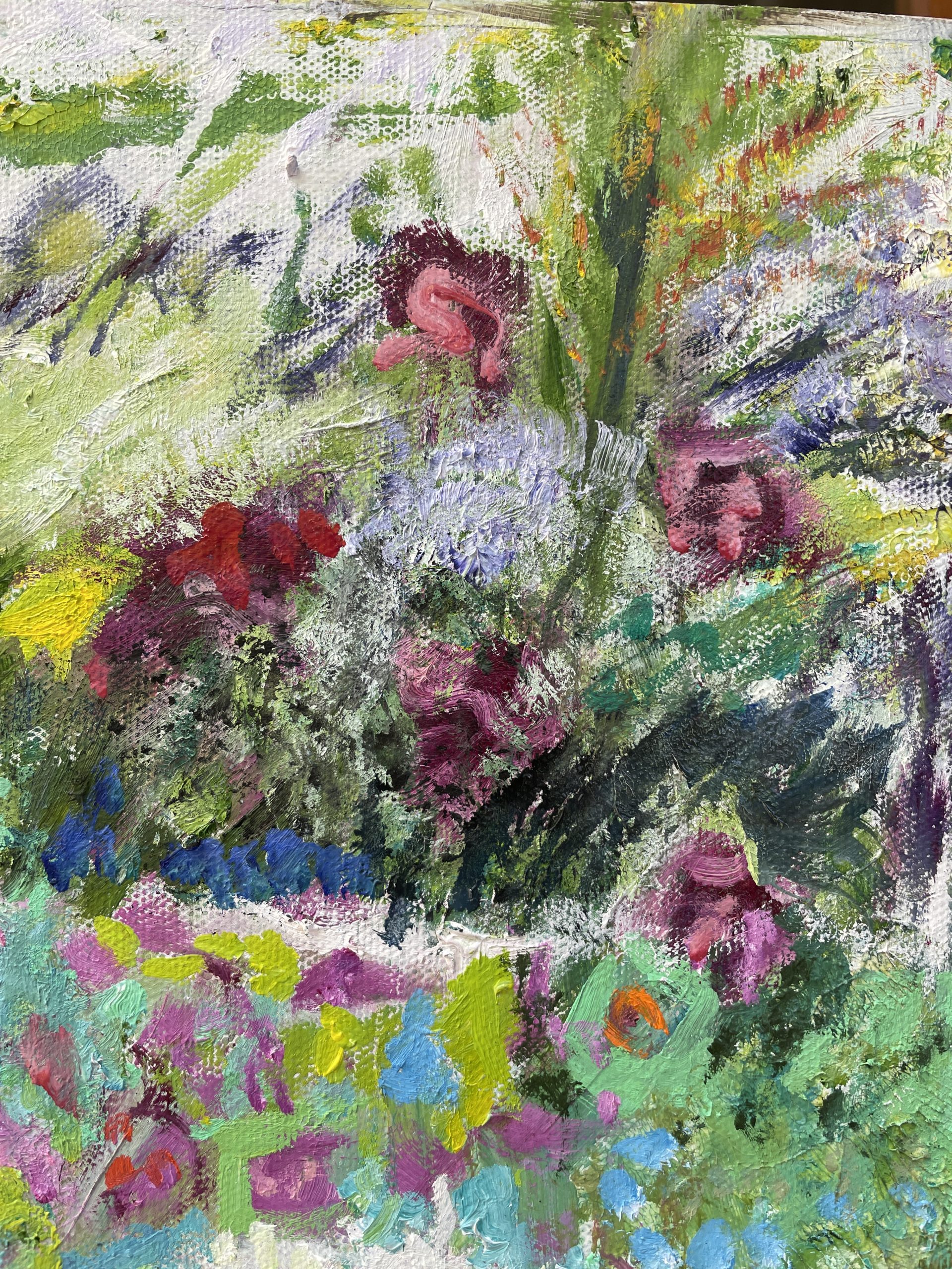 Red And White Flowers Closeup 3