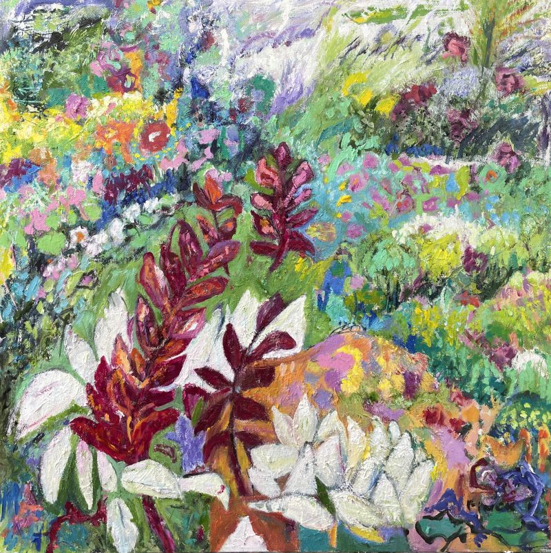 Red And White Flowers