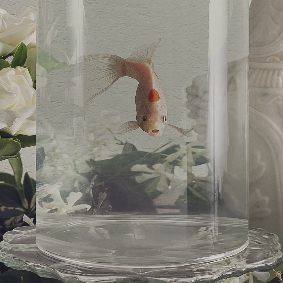 White Still Life Detail