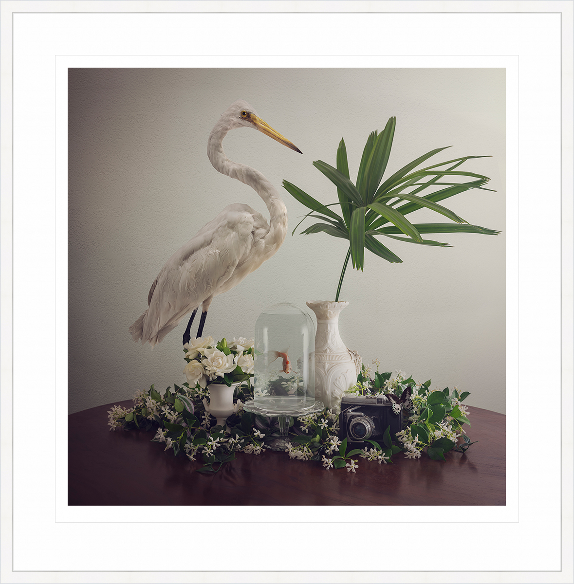 White Still Life Wht