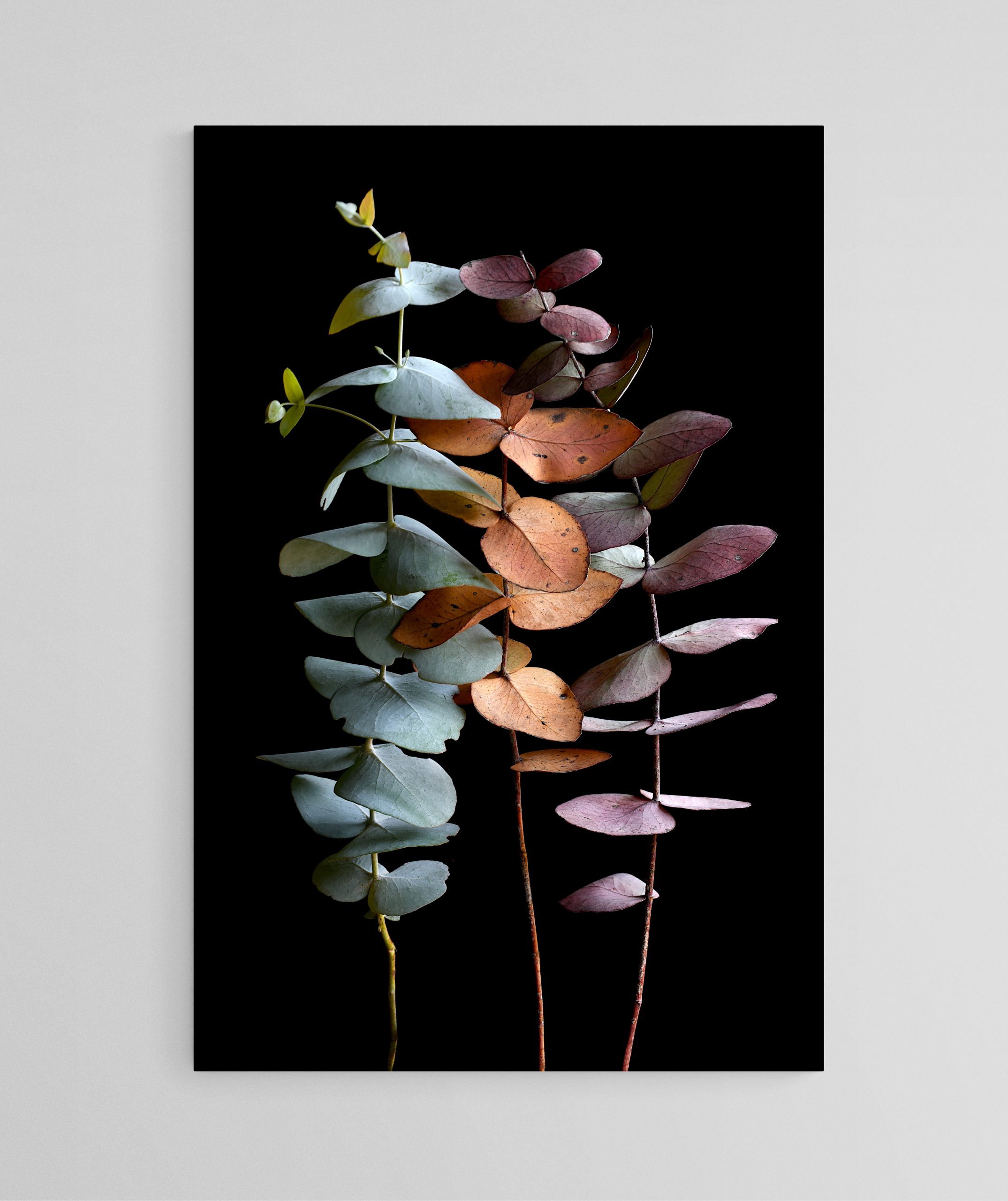 Empty Room 2024 11 21t181931.716