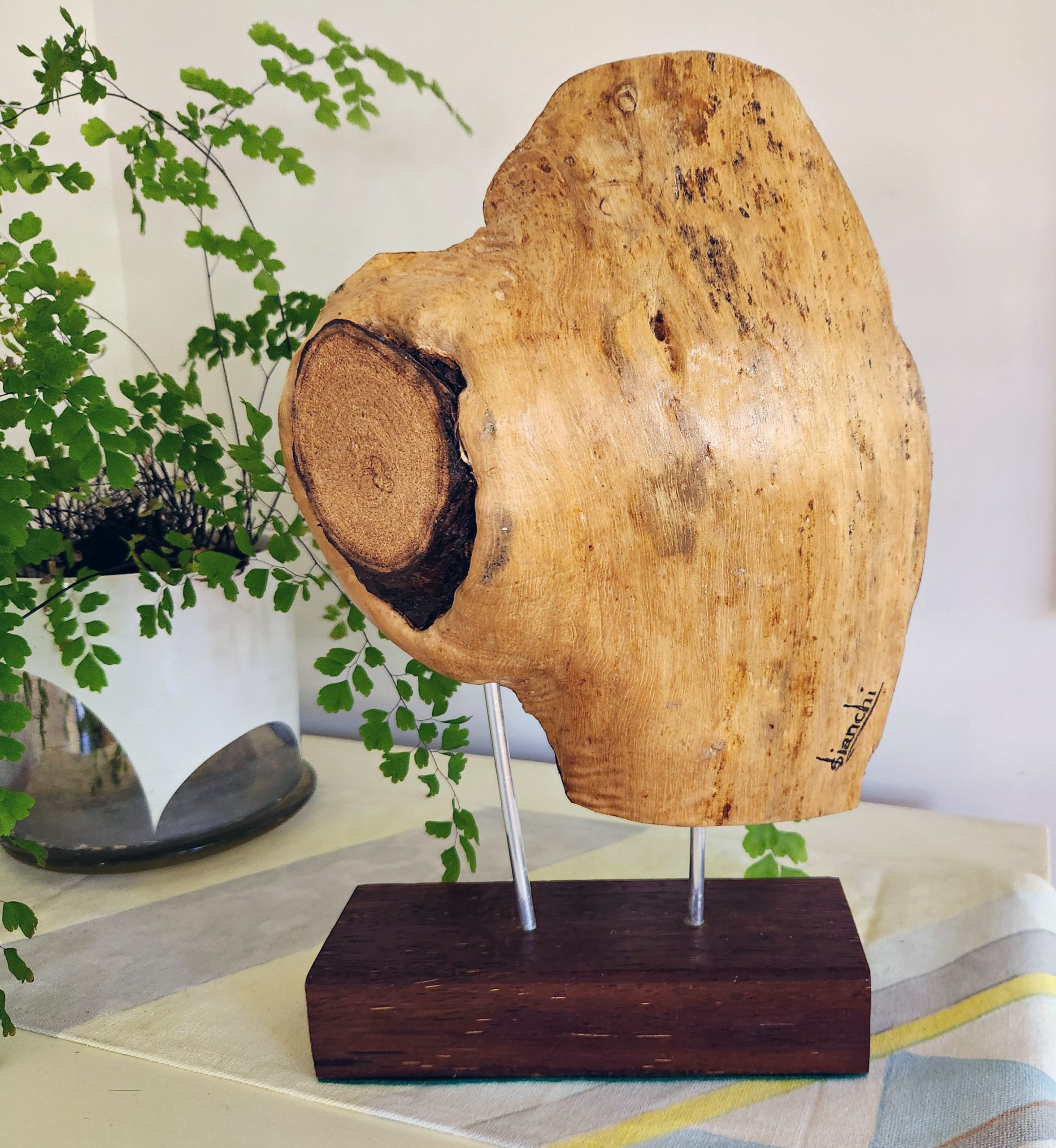 I'm A Colourful Guy Back