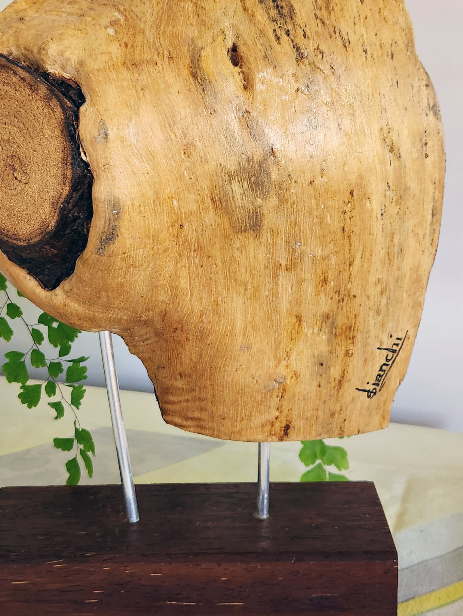 I'm A Colourful Guy Signature