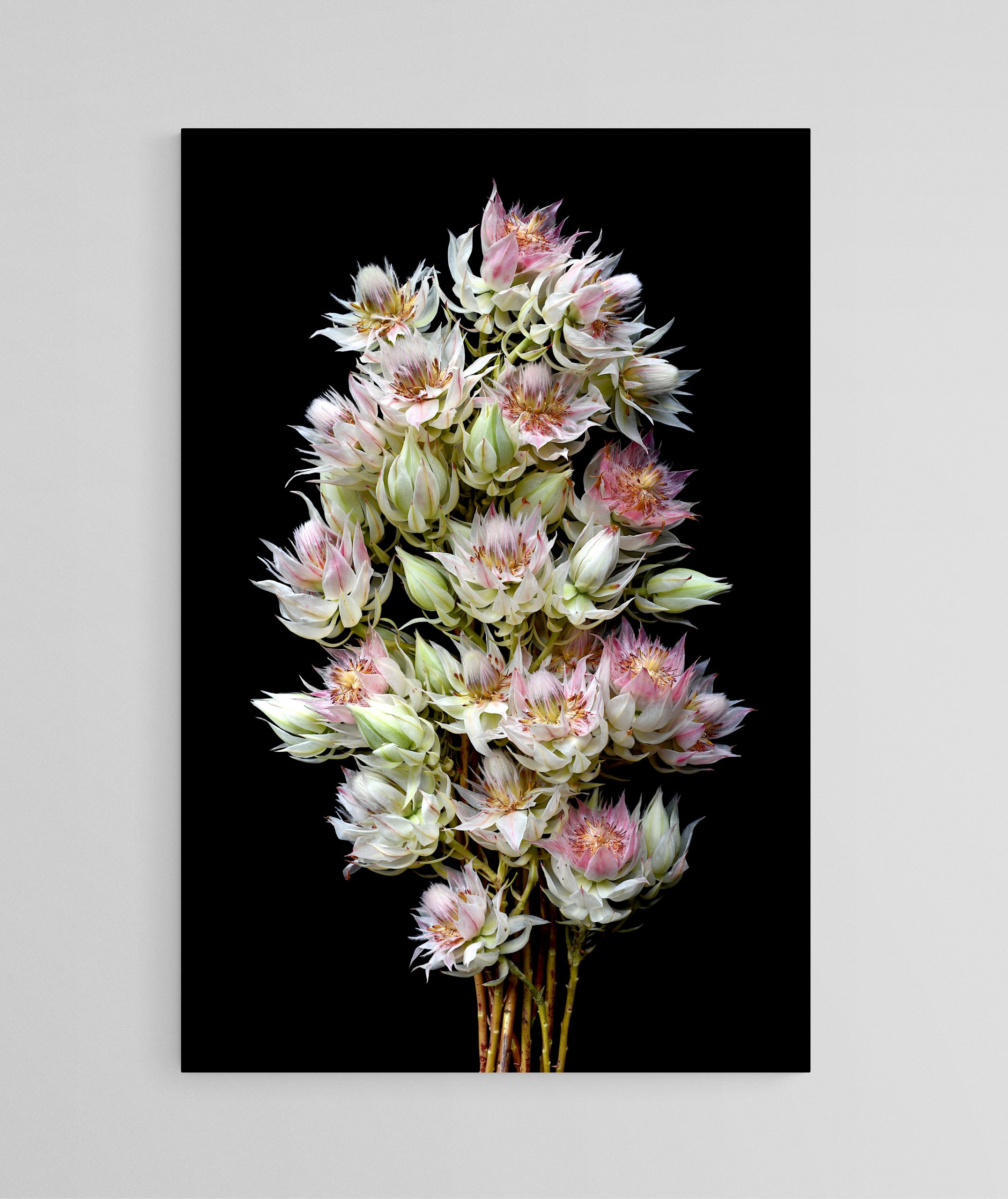 Empty Room 2024 11 24t174735.479