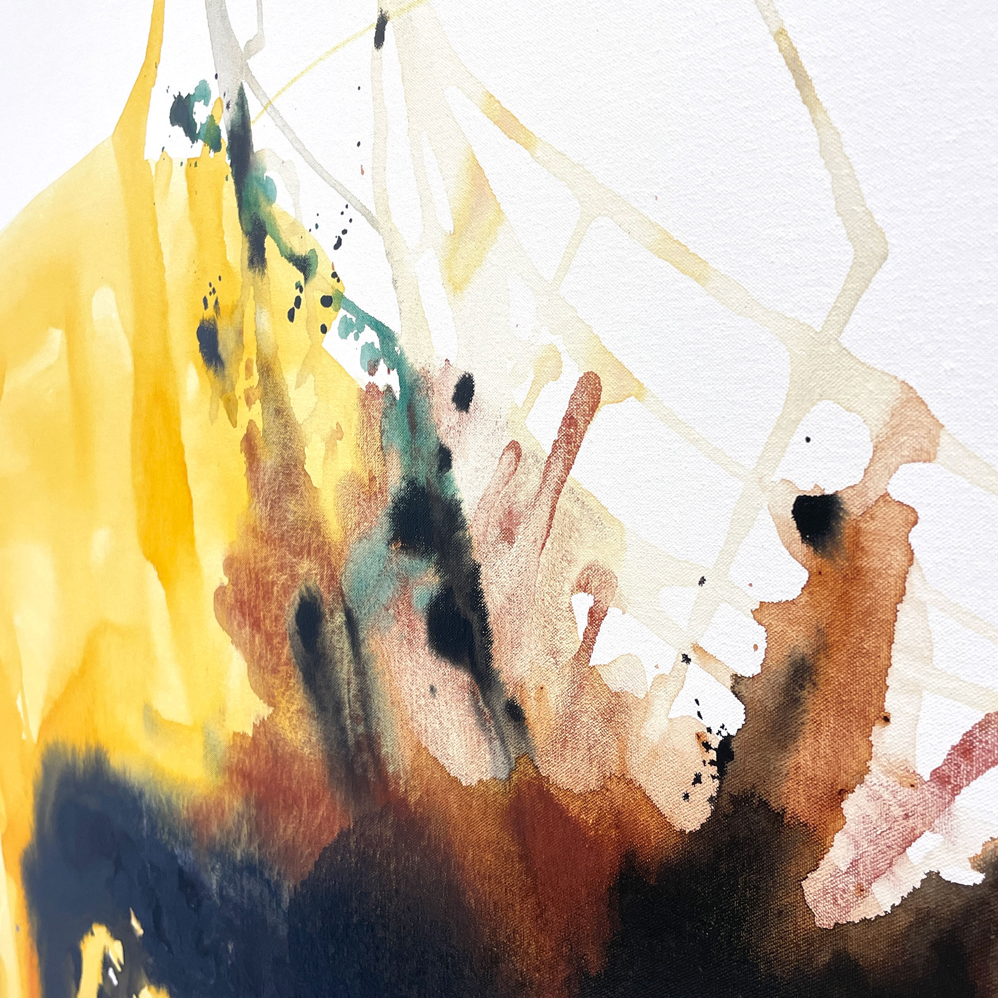 Sea Dragon Cheryl Harrison B