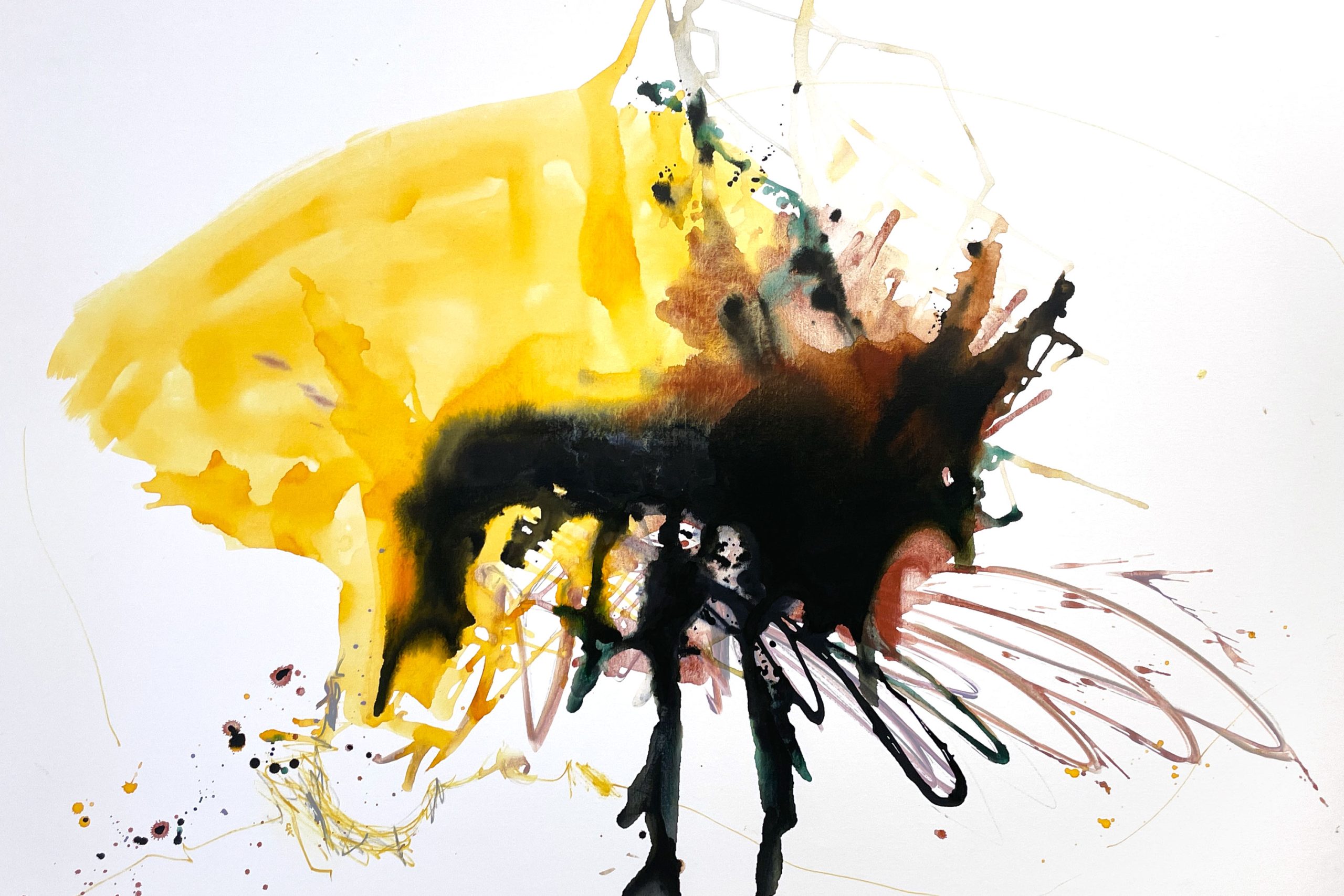 Sea Dragon Cheryl Harrison Main