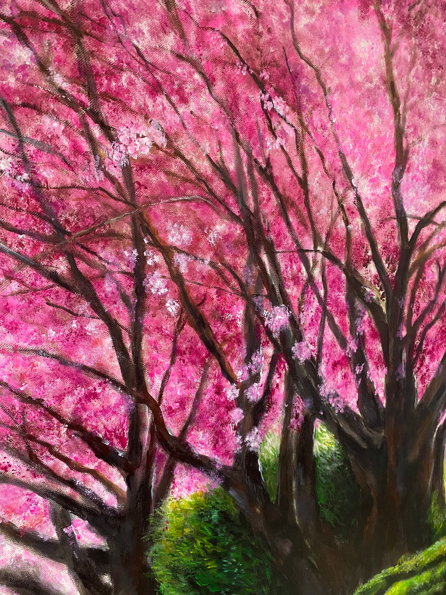 Whatsapp Image 2024 11 27 At 07.45.45 080c45bd