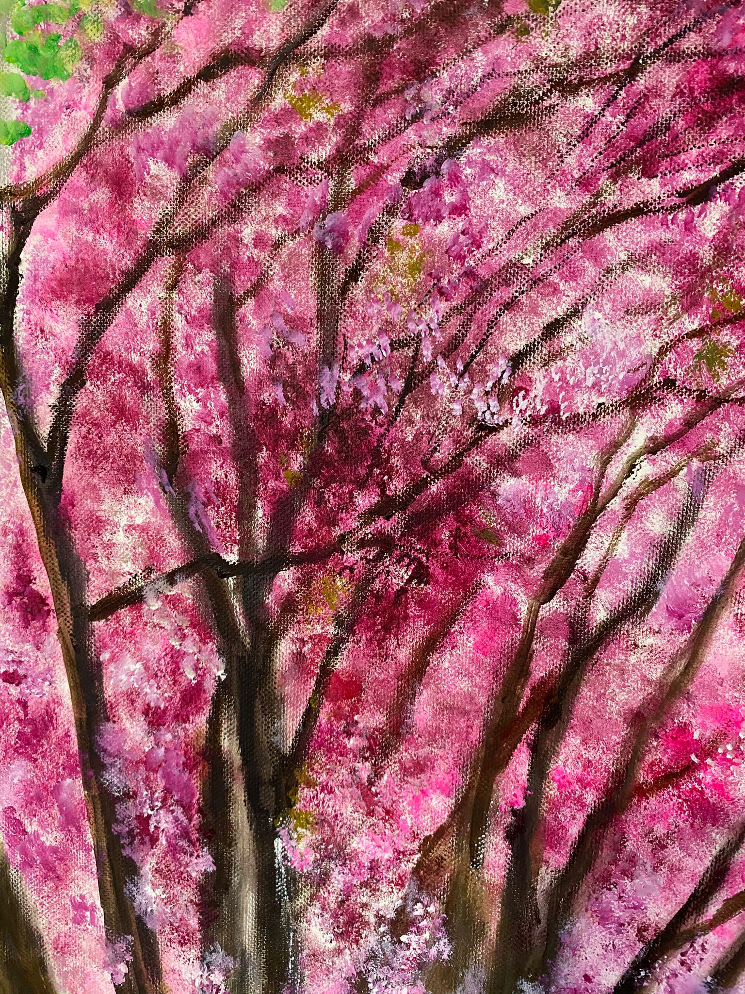 Whatsapp Image 2024 11 27 At 07.45.47 351e0da7