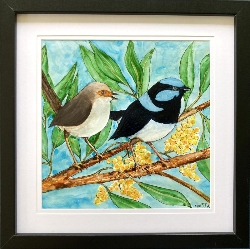 Fairy Wren Couple