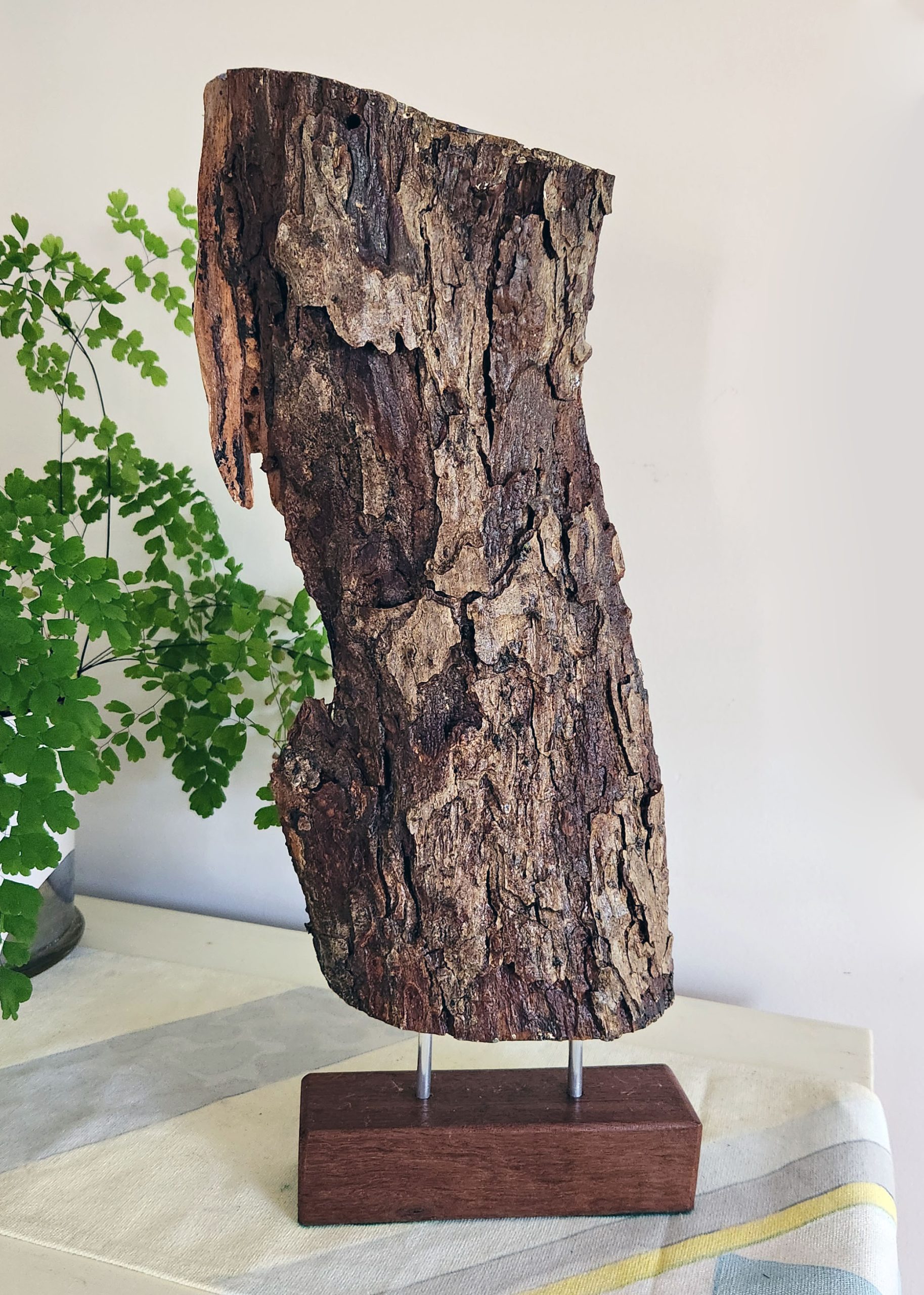 Black Cockatoo By Susanne Bianchi Back