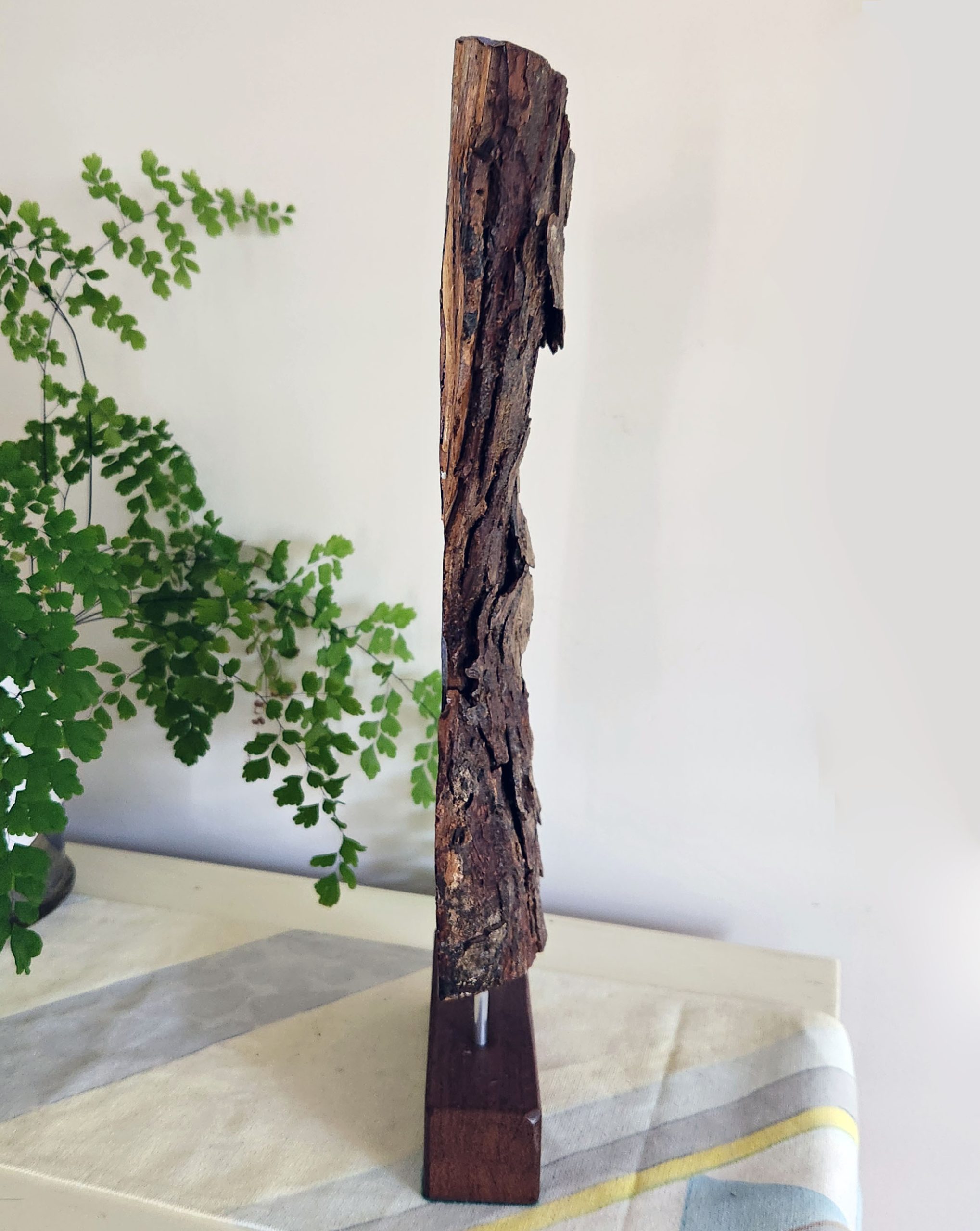 Black Cockatoo By Susanne Bianchi Side