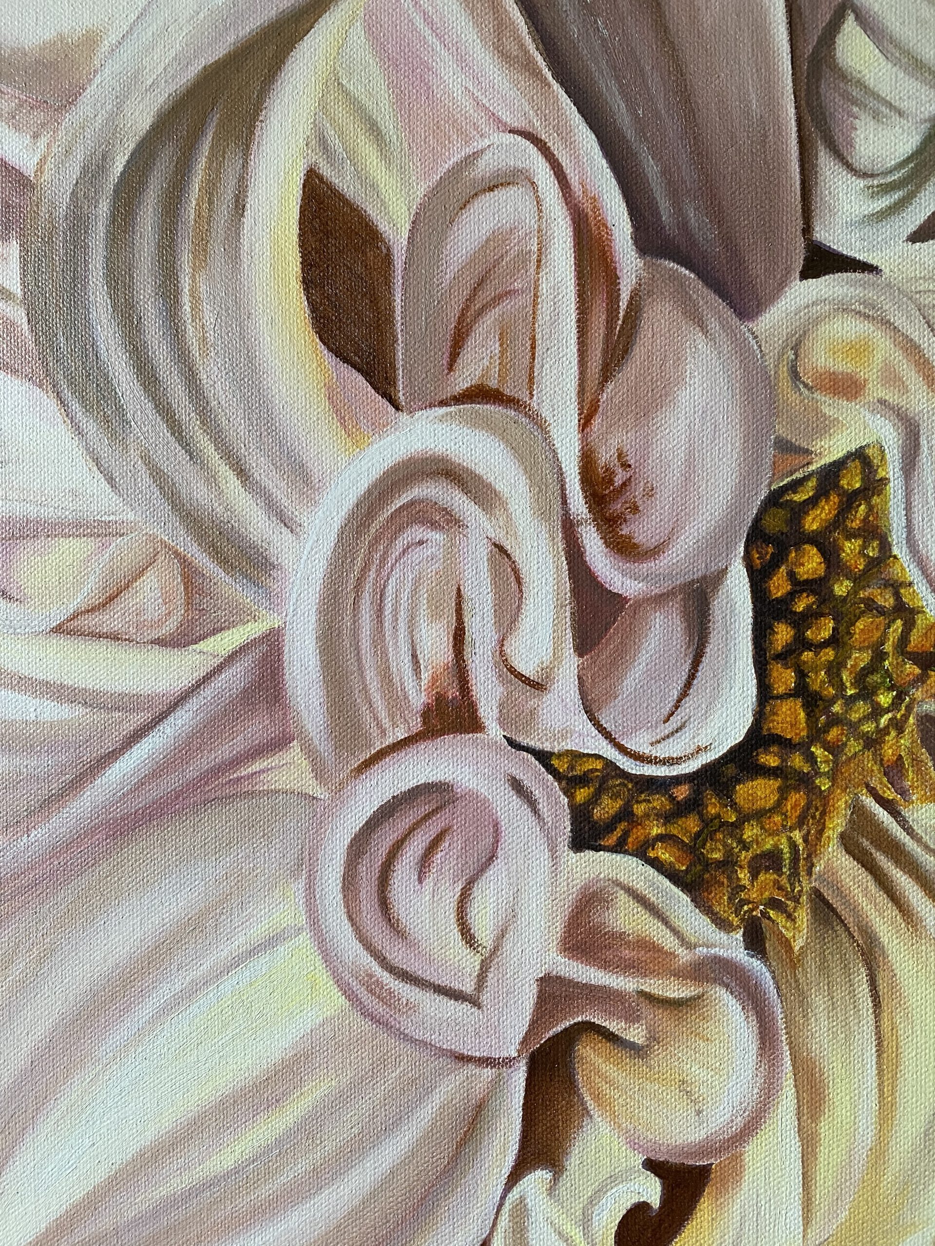 Dahlia Delight Close Up Wendy Peters