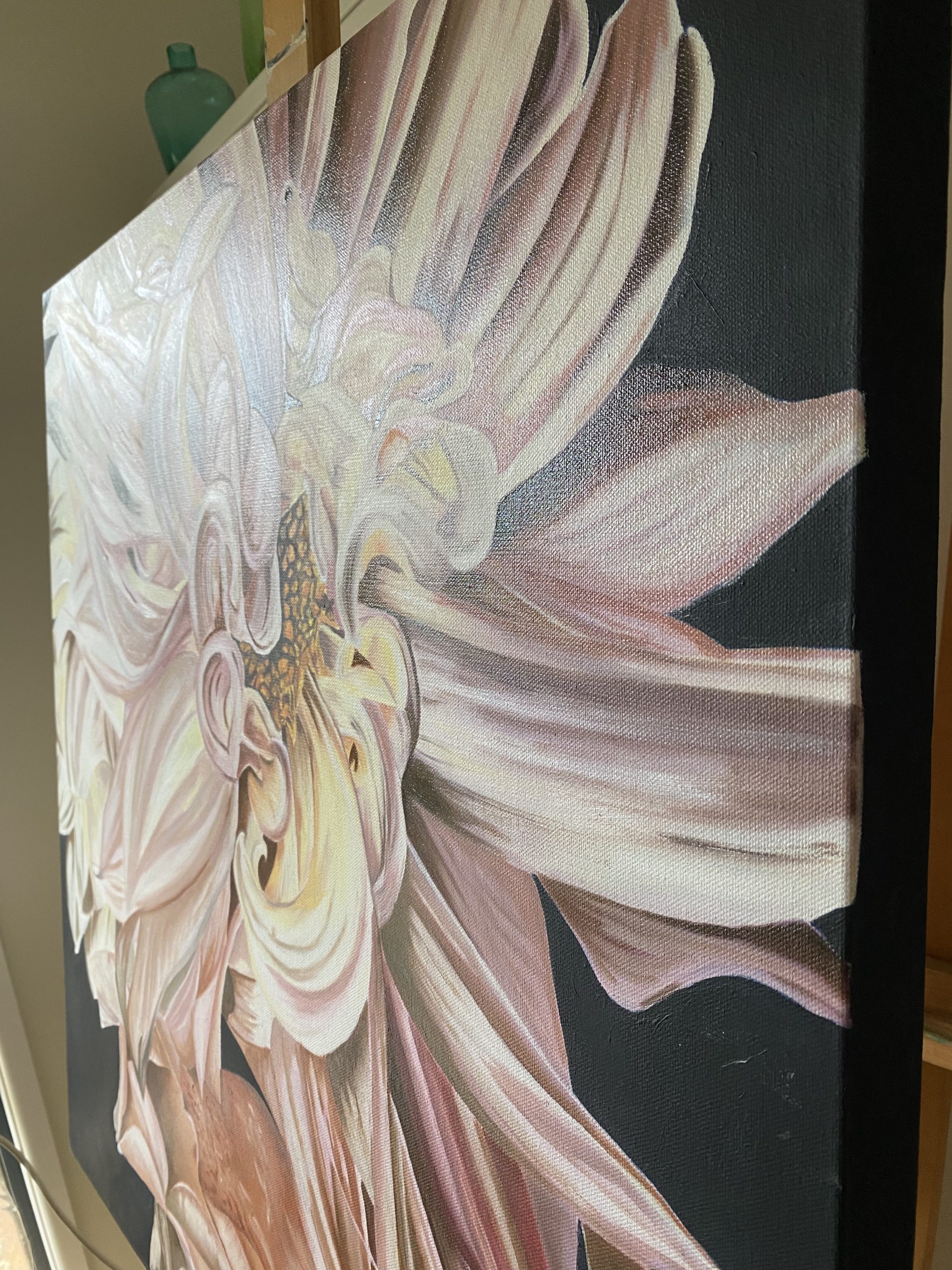 Dahlia Delight Sideview Wendy Peters