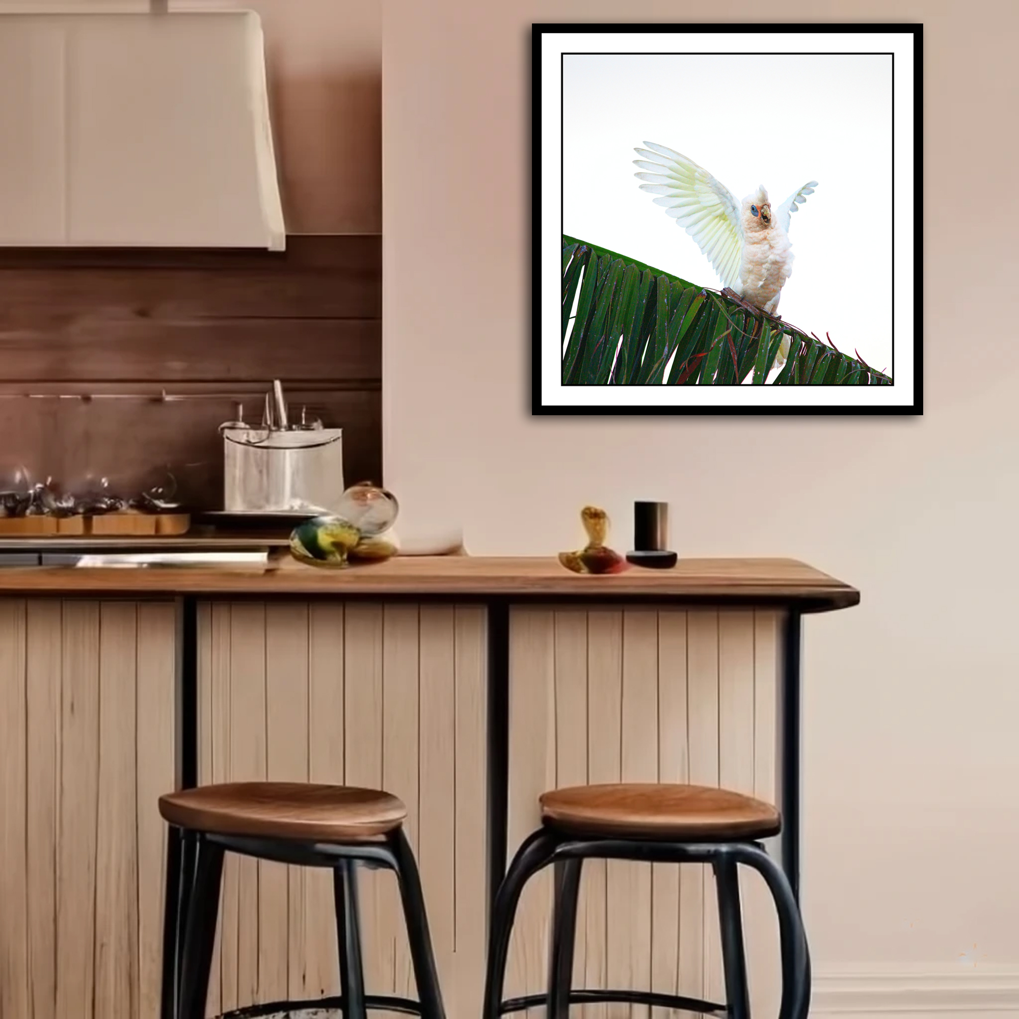 Happy Corella 1 In Situ 1