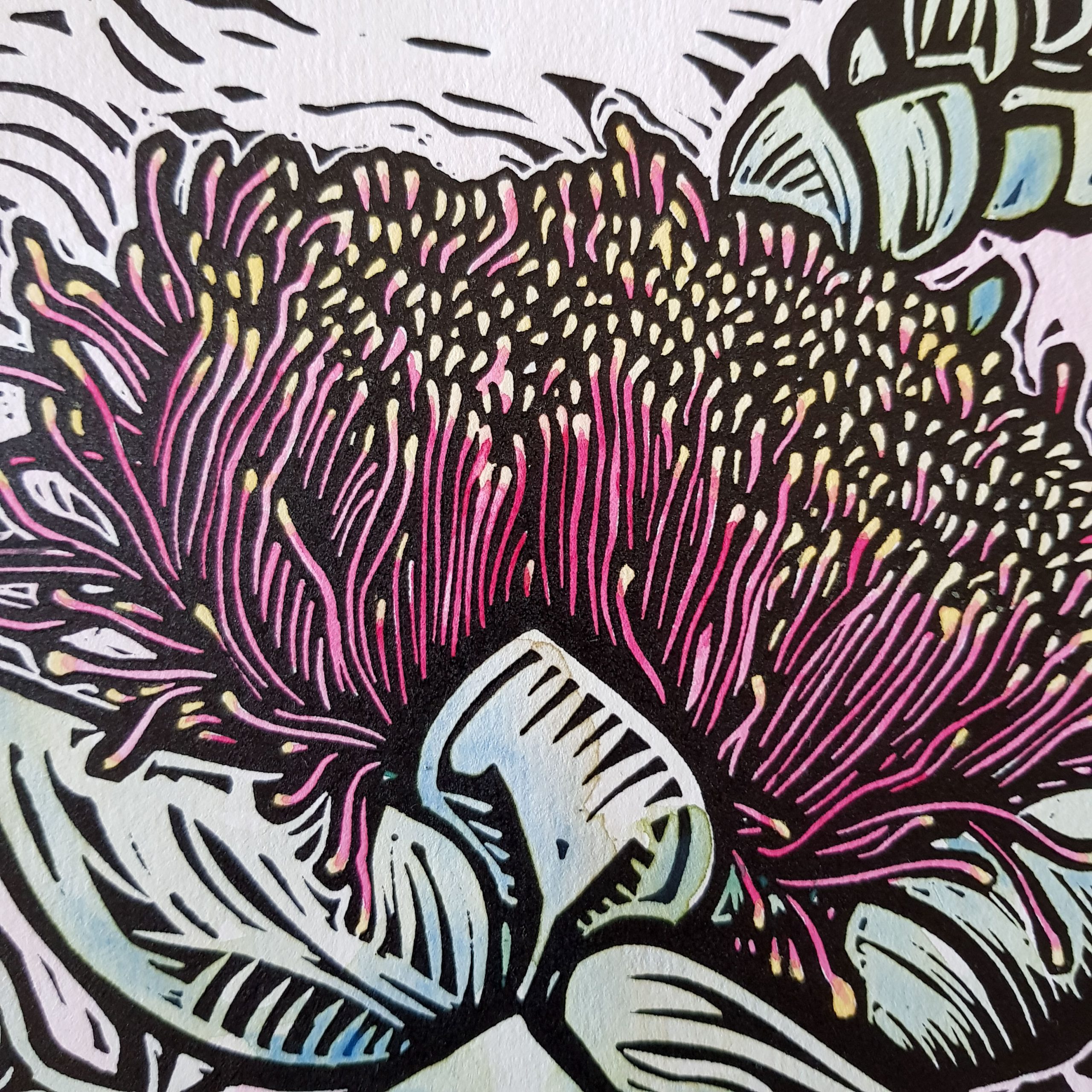 Coffee Pot Florals 2 By Nicola Cowie Mallee