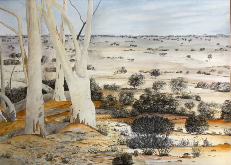 Once Were Burrowers 4