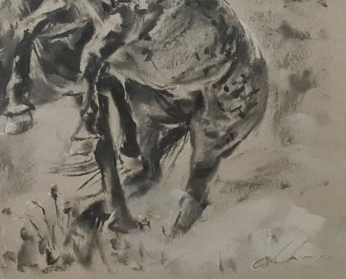 Charcoal Wild Horses Jo S. Stacey Close Up 2
