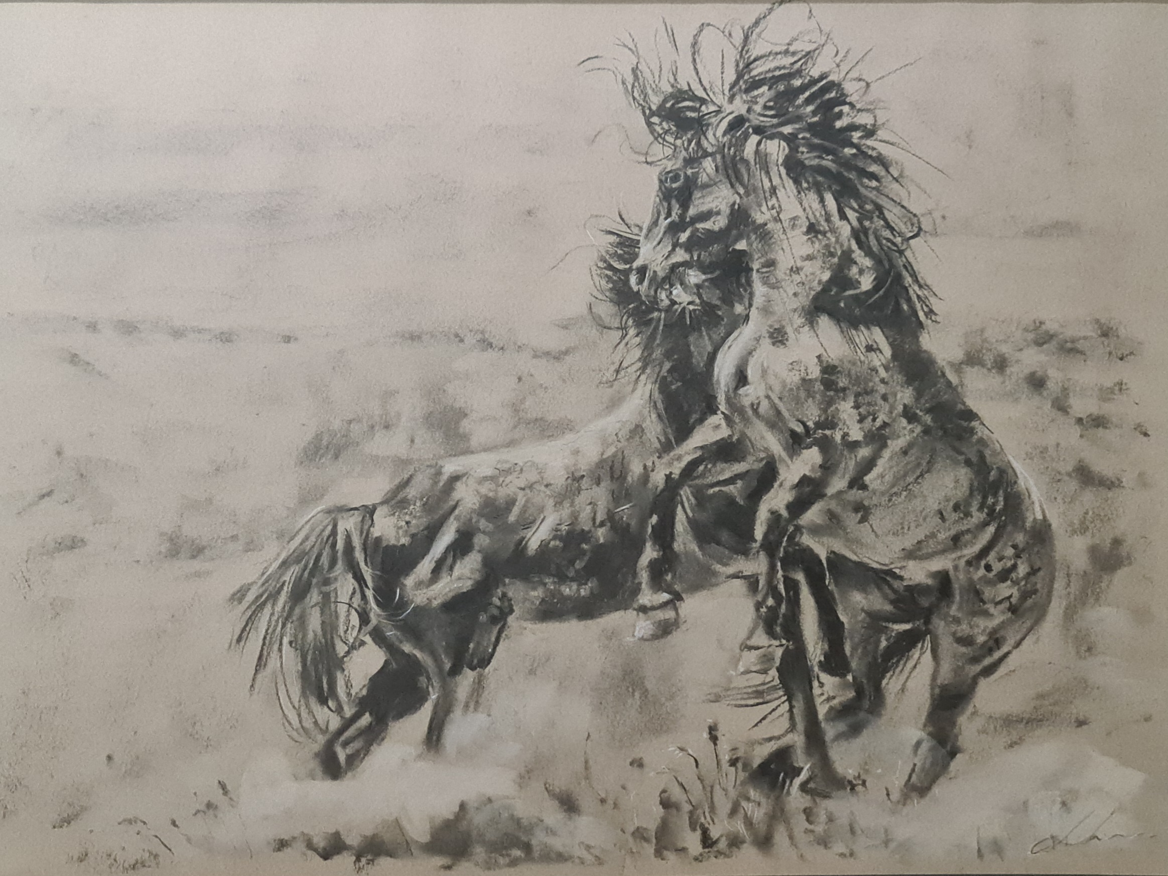Charcoal Wild Horses Jo S. Stacey Fine Art