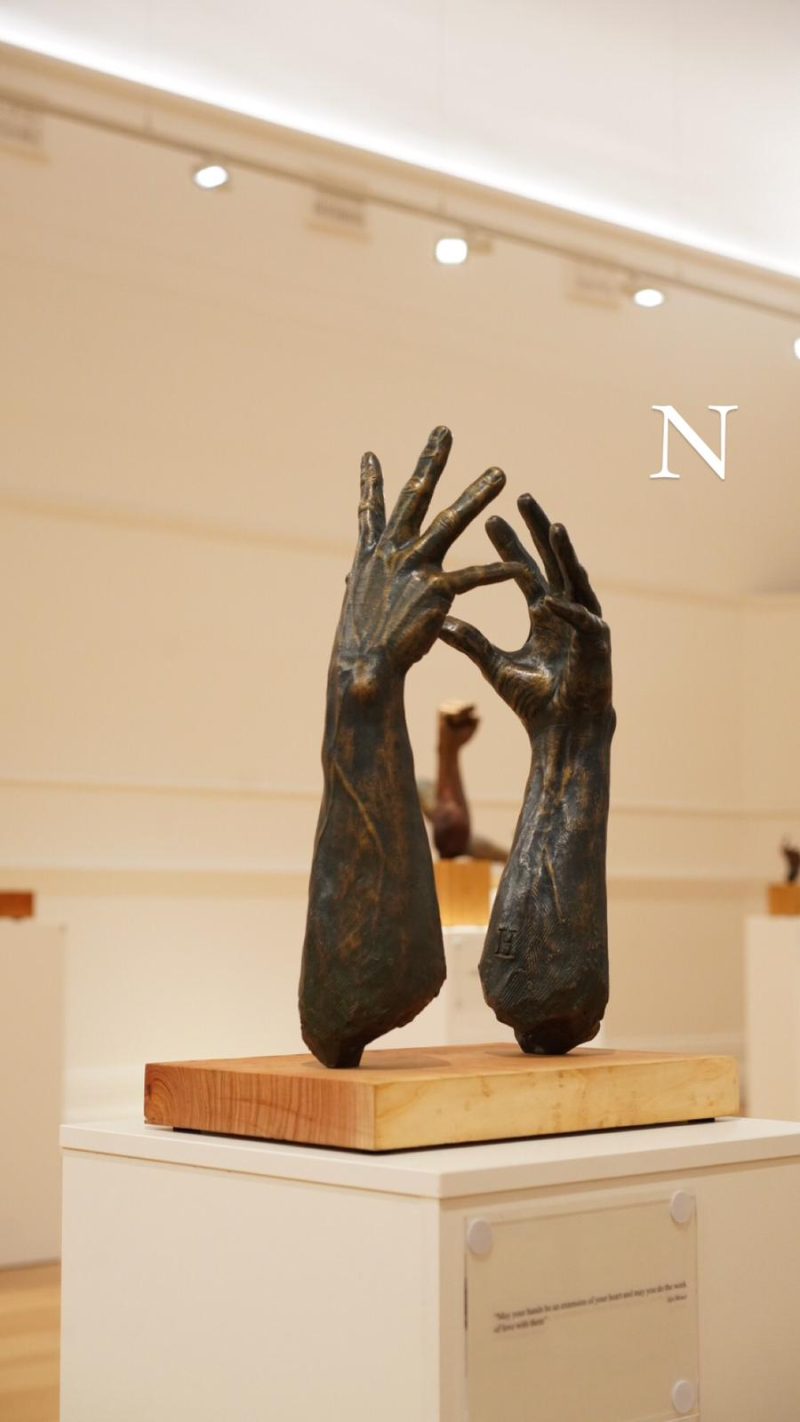 Ancora Imparo Collection 8