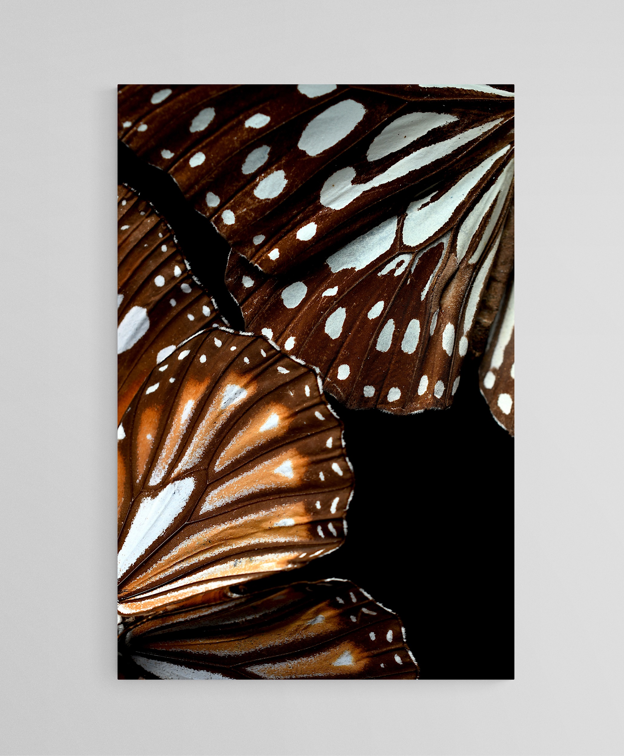 Empty Room 2024 12 04t171416.806