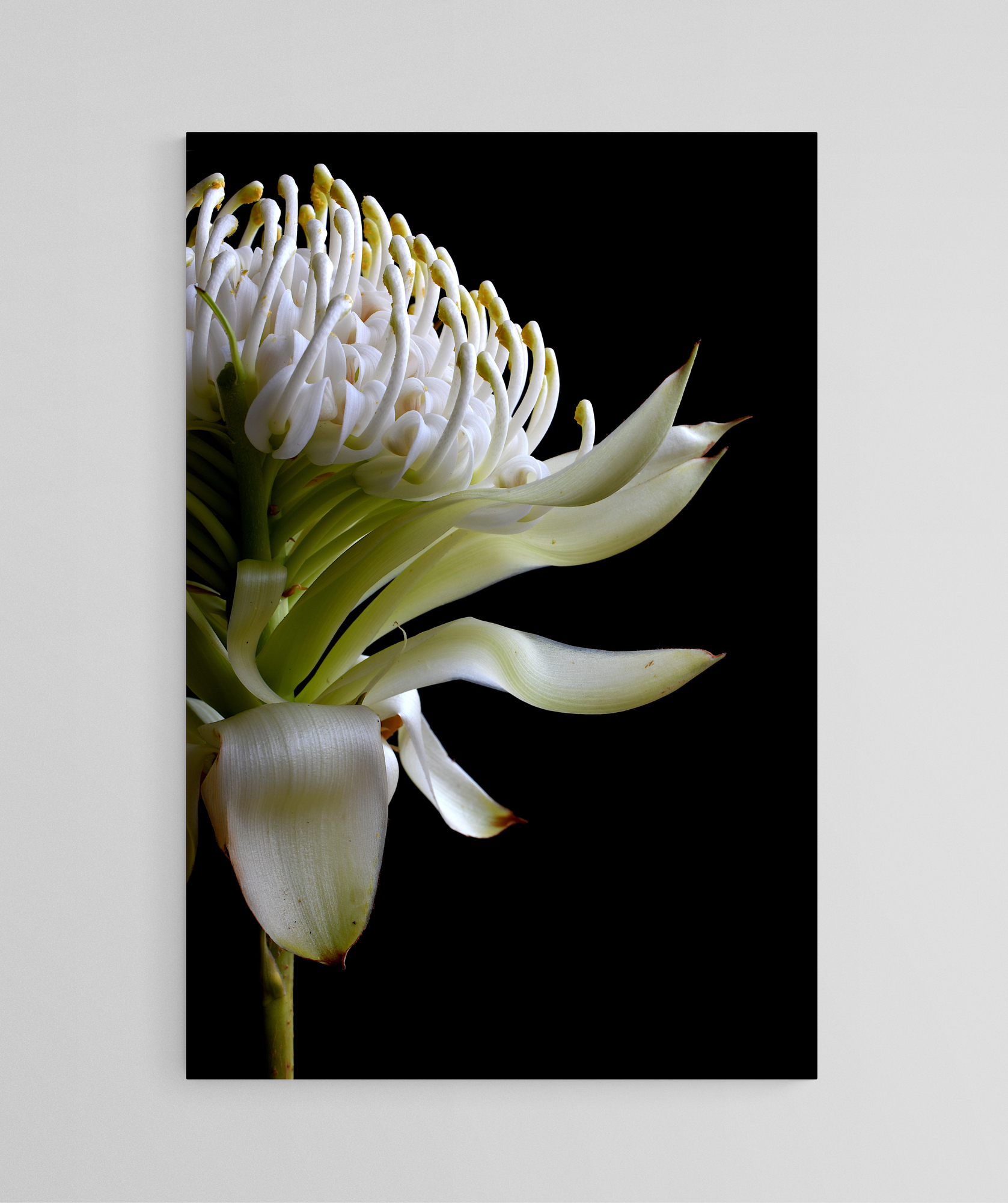 Empty Room 2024 10 24t142731.953