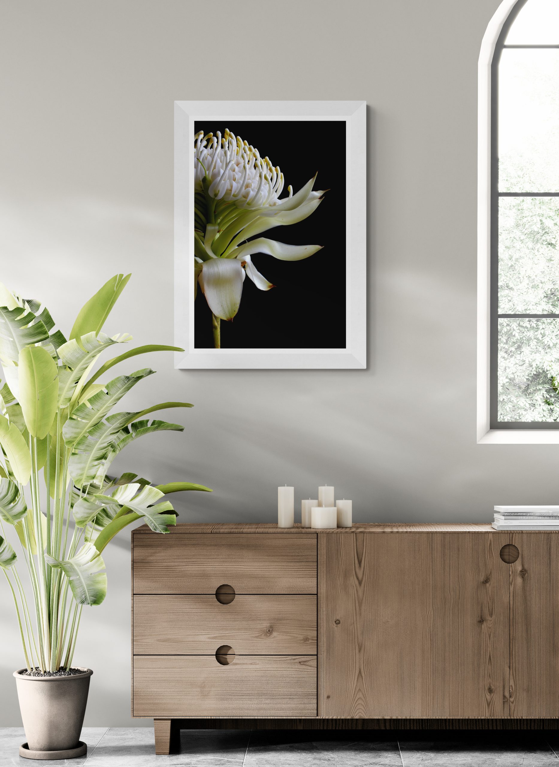 Room With Tropical Plant And Wooden Cabinet (1)