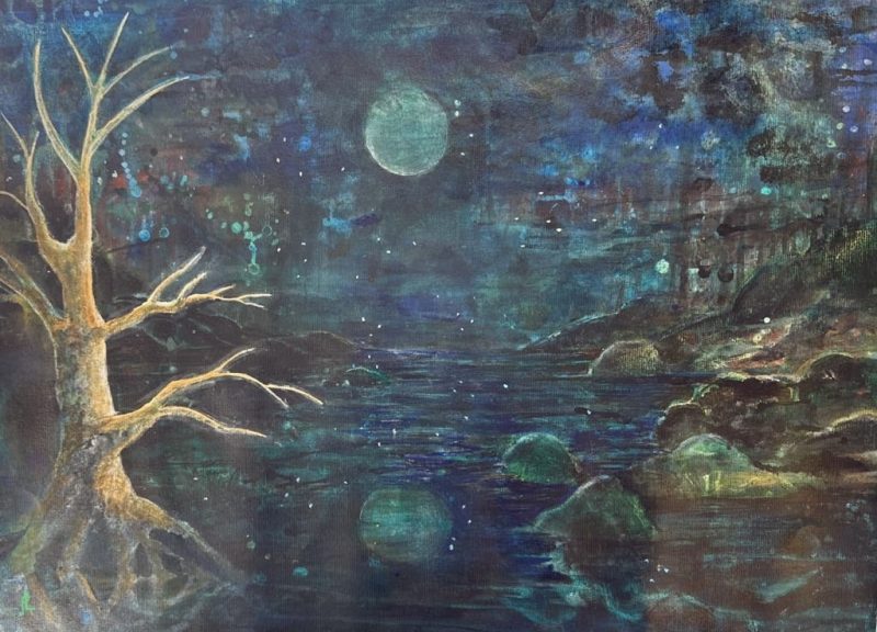 Moonlight Reflections