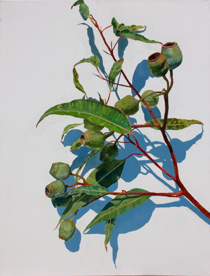 Gumnuts, McLaren Flat