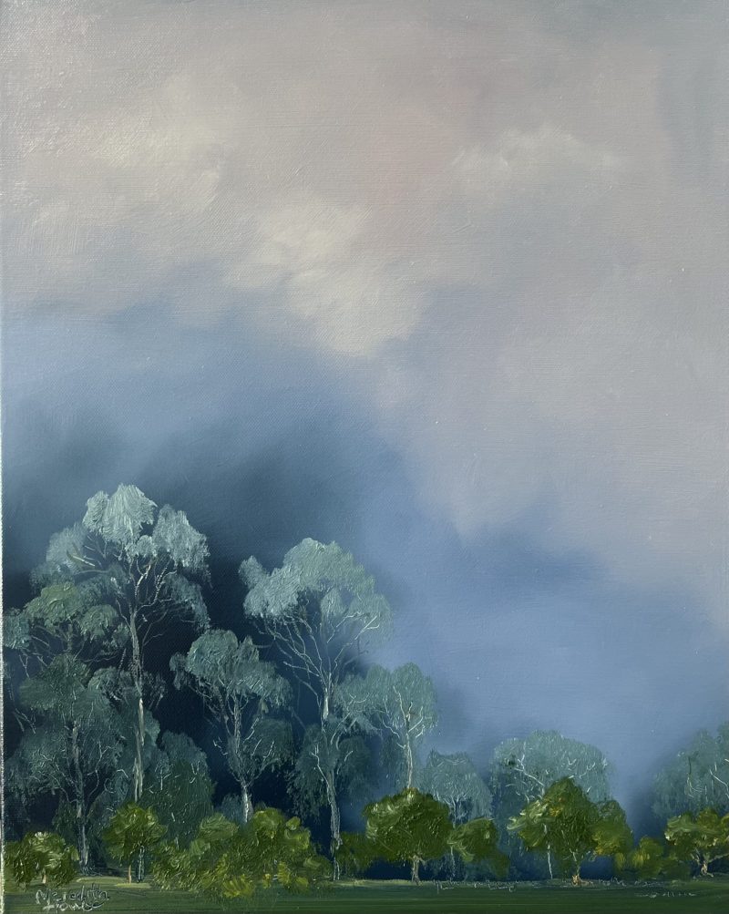 Illumination Centennial Park