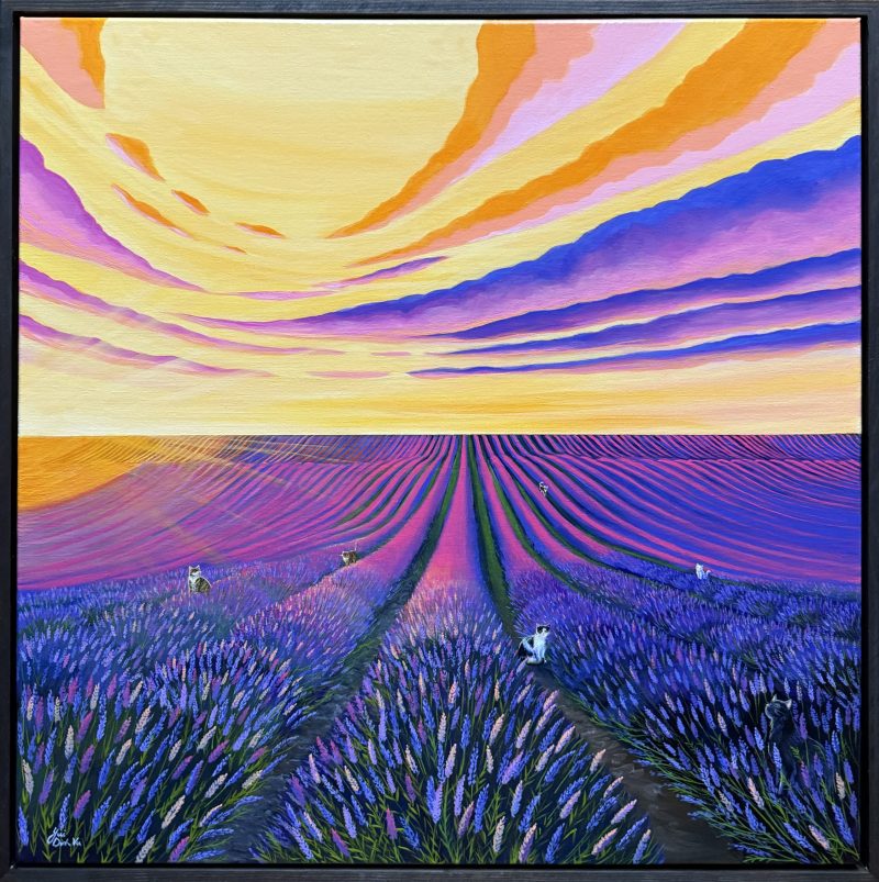 Dreaming of lavenders