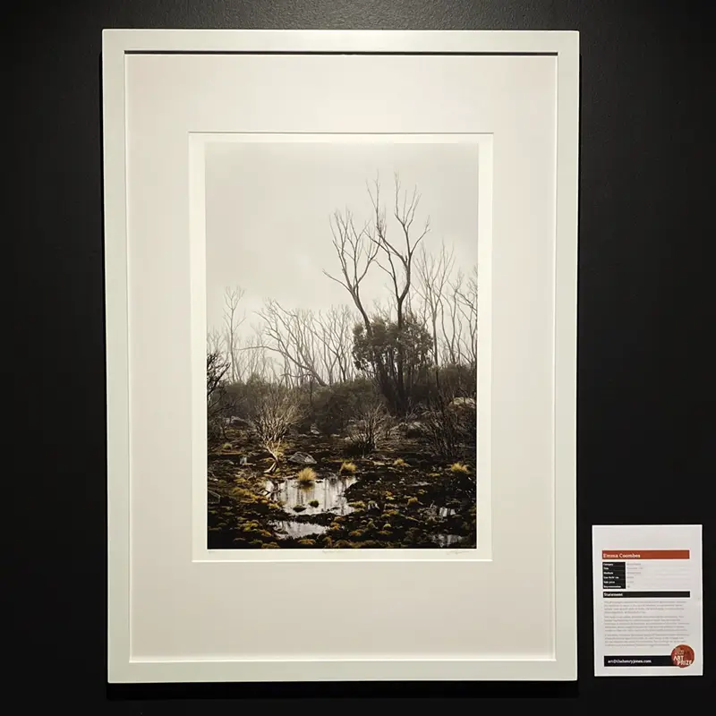 Finalist Henryjonesartprize