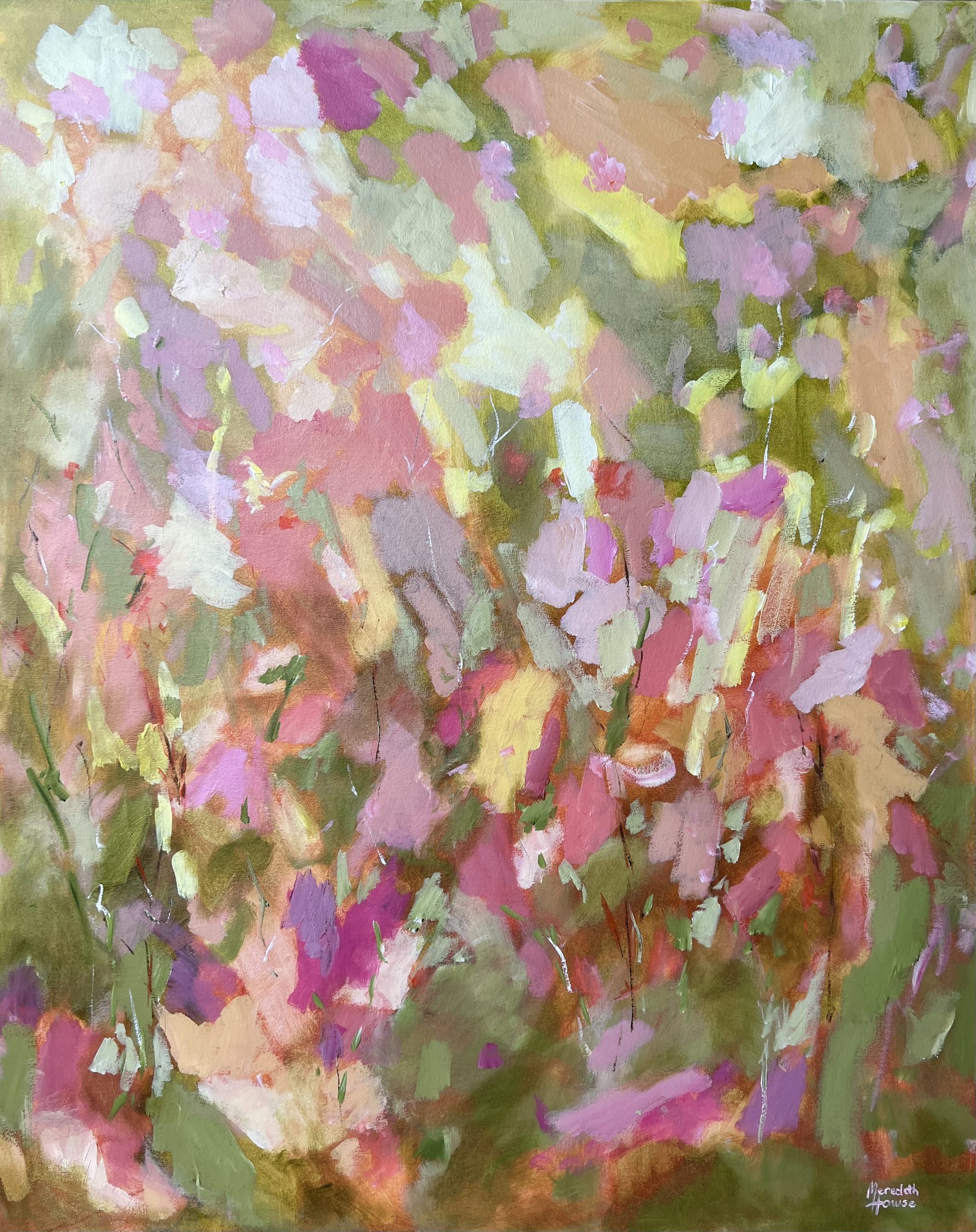 Sunshine By Meredith Howse