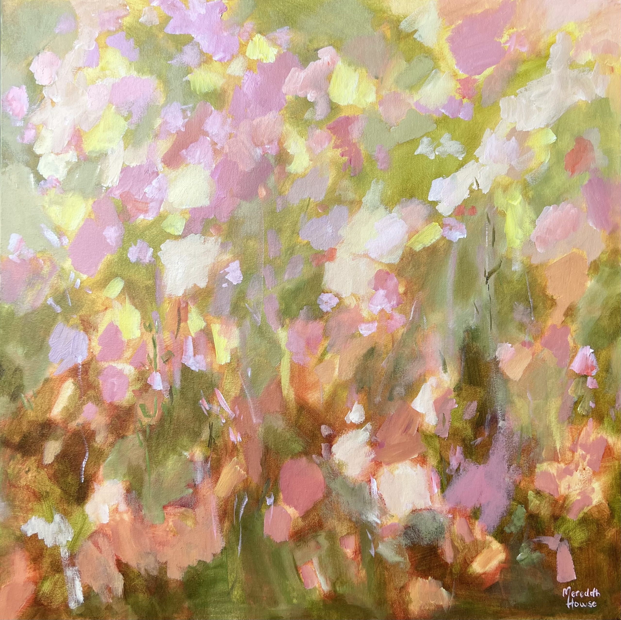 Light By Meredith Howse