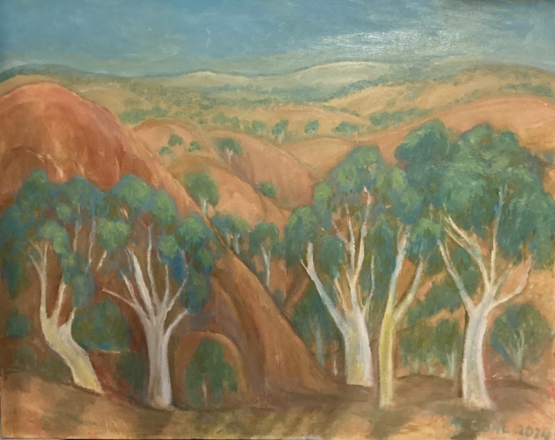 Far west of New South Wales